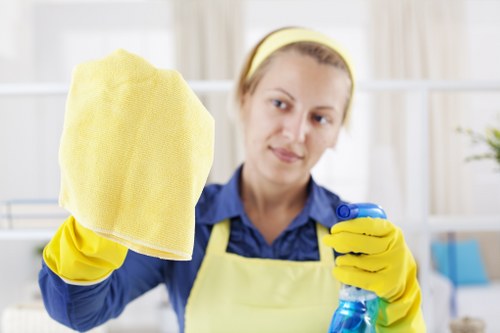 Professional window cleaning in Ruislip for a bright residential property