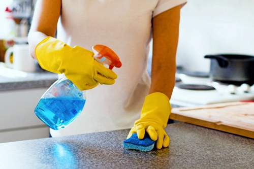 Detailed move in cleaning checklist for kitchen and bathroom areas