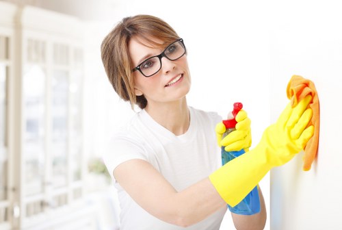Home cleaning essentials arranged for domestic cleaning