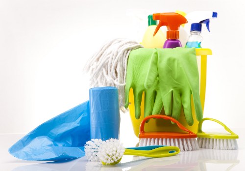 Professional domestic cleaning supplies prepared for home maintenance
