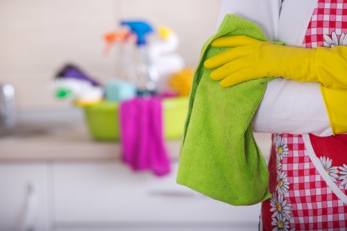Regular cleaning supplies arranged for home sanitation and dust removal