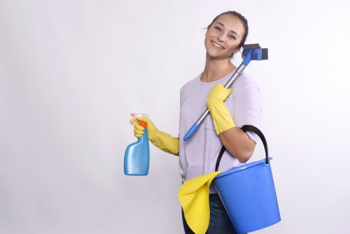 Detailed cleaning of high-touch surfaces in a Ruislip property