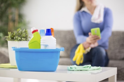 Dusting and vacuuming a tidy living room during domestic cleaning