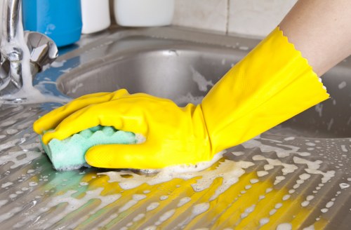 Cleaning supplies used for oven maintenance