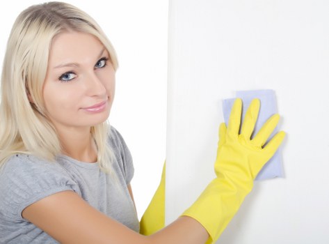 Home sofa cleaning tools and upholstery maintenance supplies