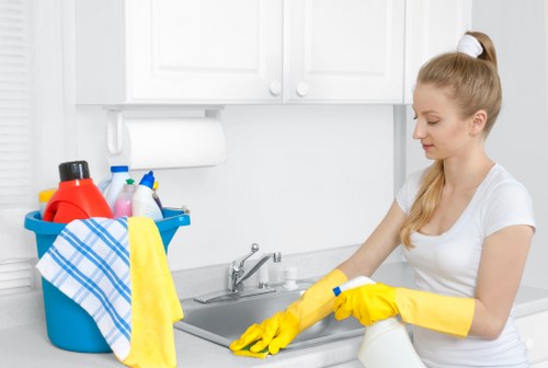 Professional move in cleaning setup before unpacking